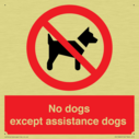 no-dogs-except-assistance-dogs~